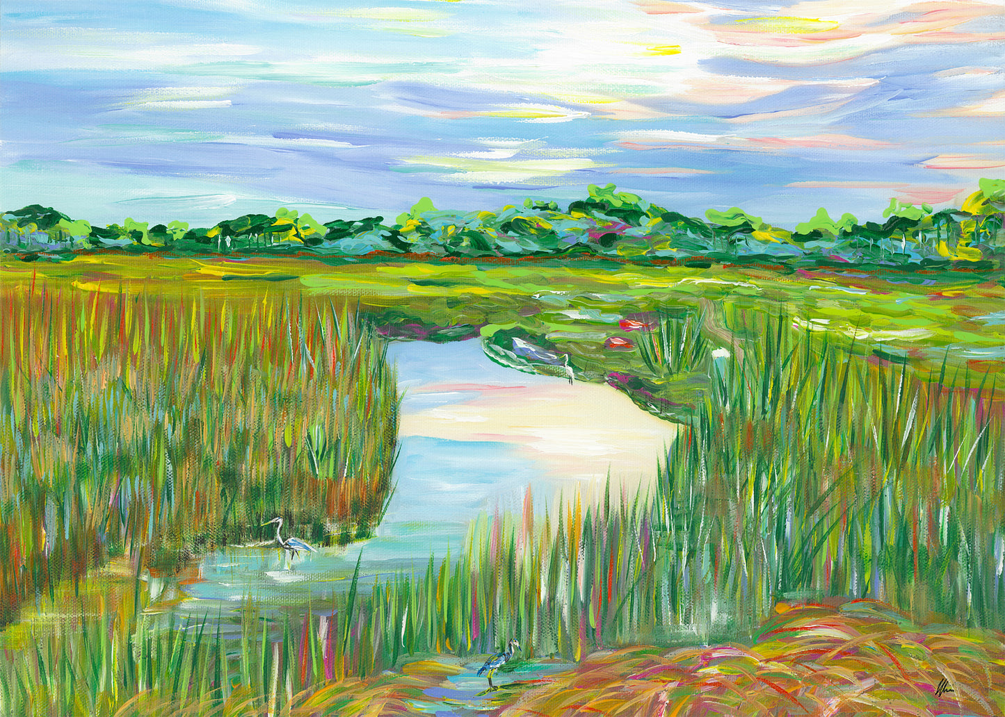 “Marsh with the birds”