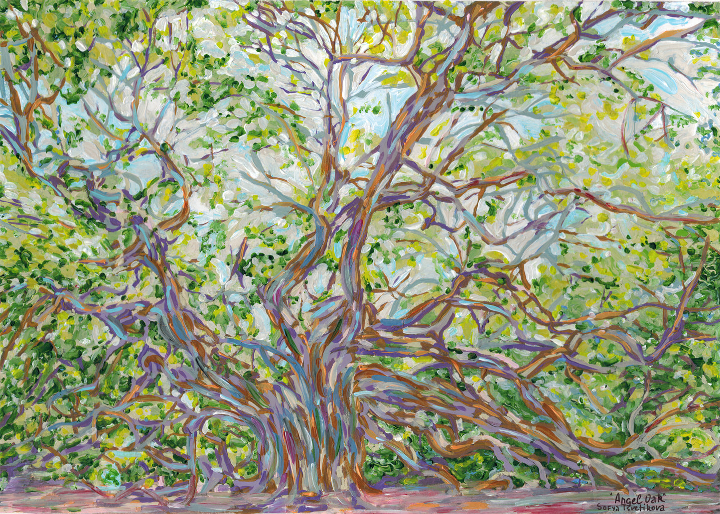 “Angel Oak Tree”